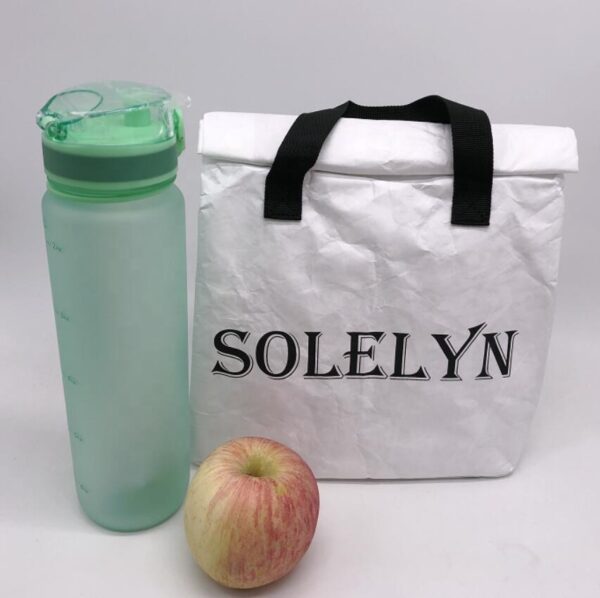 Dupont Paper Tyvek Cooler Tote Lunch Bag for Kids Picnic - Image 5