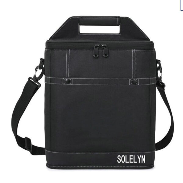 Festival Gift 2 Bottles Wine Bag Carrier Picnic Set Wine Cooler Tote Bags Wine Bottles Tote Bag - 画像 4