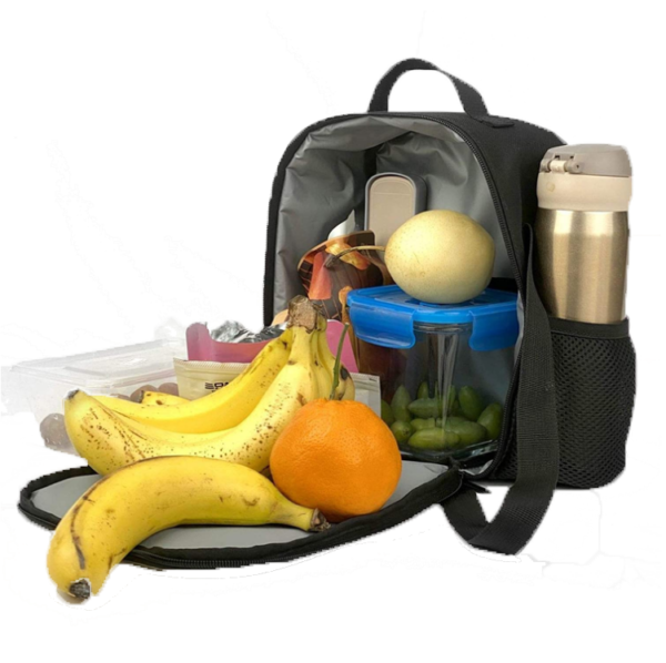 Small Cooler Insulated Lunch Box Bag with Shoulder Strap for Women Men Adult