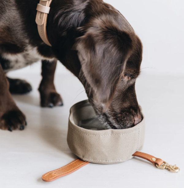 Pet Dog Cat Outdoor Food Bowl Bag Waxed Canvas Dog Bowl - Bild 6