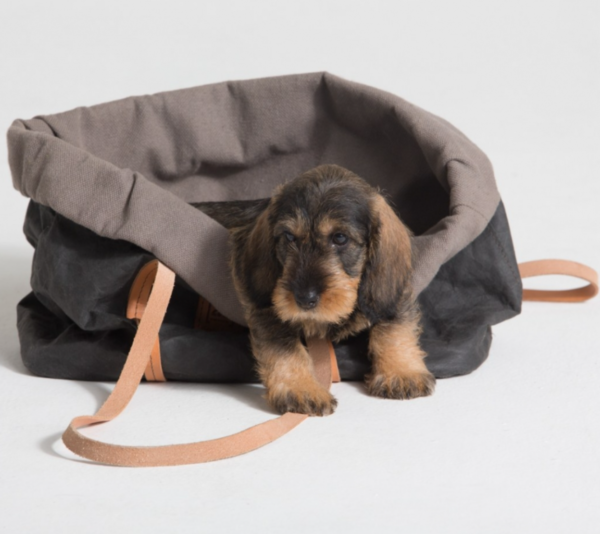 Kraft Paper Teddy Doghouse Travel Dog and Cat Pet Carrier Tote Hand Bag - Image 3