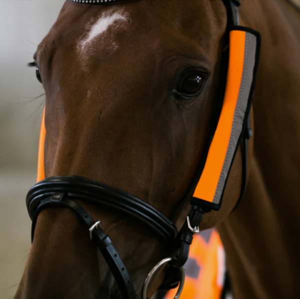 Horse Bridle Covers with Reflective Safety for Nighttime Riding Special Purpose Bags & Cases - 영상 3