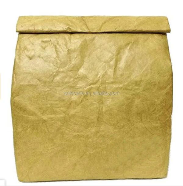 Tyvek Thermal Insulation Cold Storage Craft Bag Paper Sack Recommended Cool Bag - Изображение 2