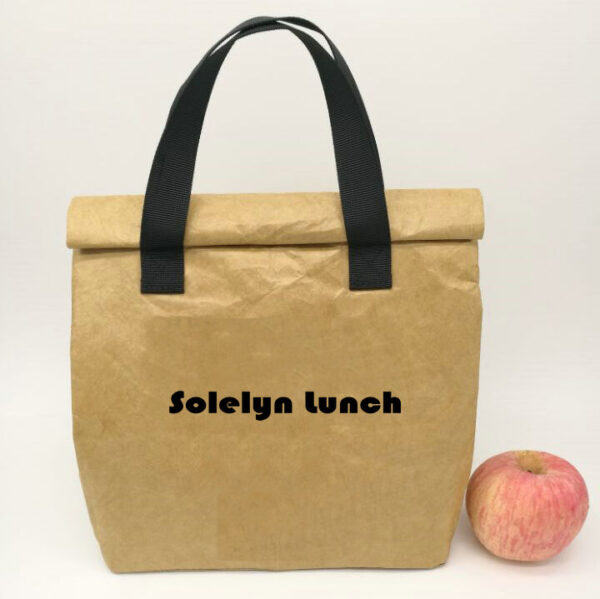 Reusable Brown Paper Cooler Lunch Bag with Handles