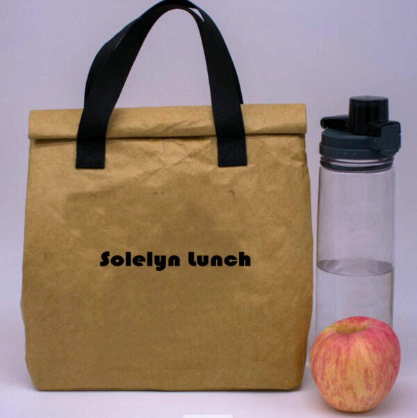 Reusable Brown Paper Cooler Lunch Bag with Handles - Image 2