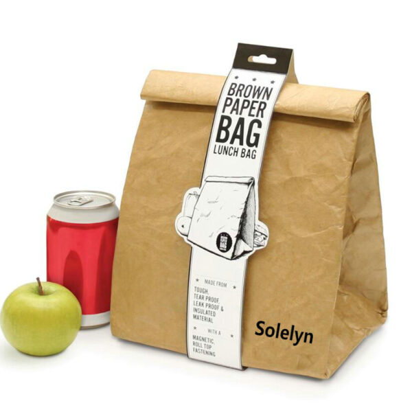 Eco-Friendly Portable Thermal Tyvek Paper Cooler Bag Food Delivery Sublimation Lunch Bag