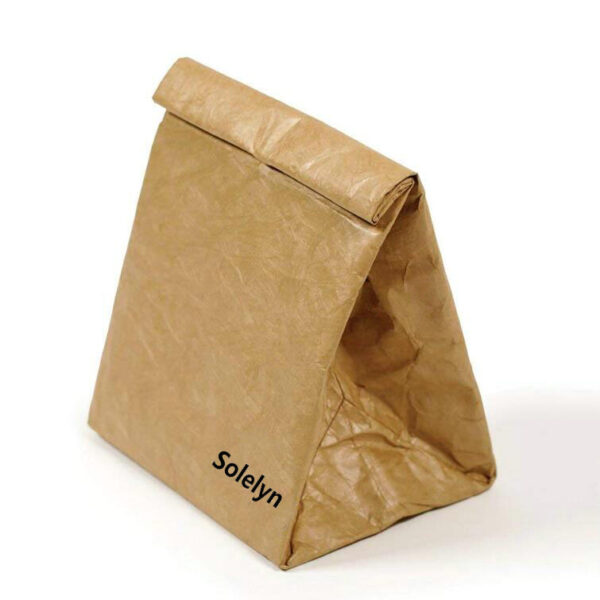 Eco-Friendly Portable Thermal Tyvek Paper Cooler Bag Food Delivery Sublimation Lunch Bag - 画像 2