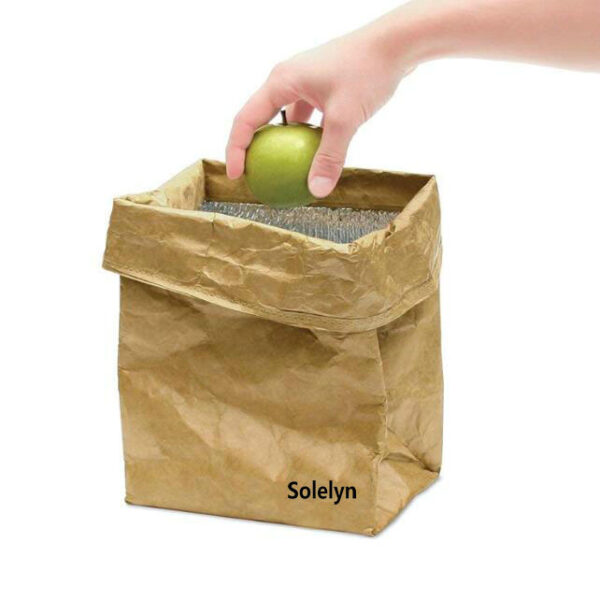 Eco-Friendly Portable Thermal Tyvek Paper Cooler Bag Food Delivery Sublimation Lunch Bag - 画像 3