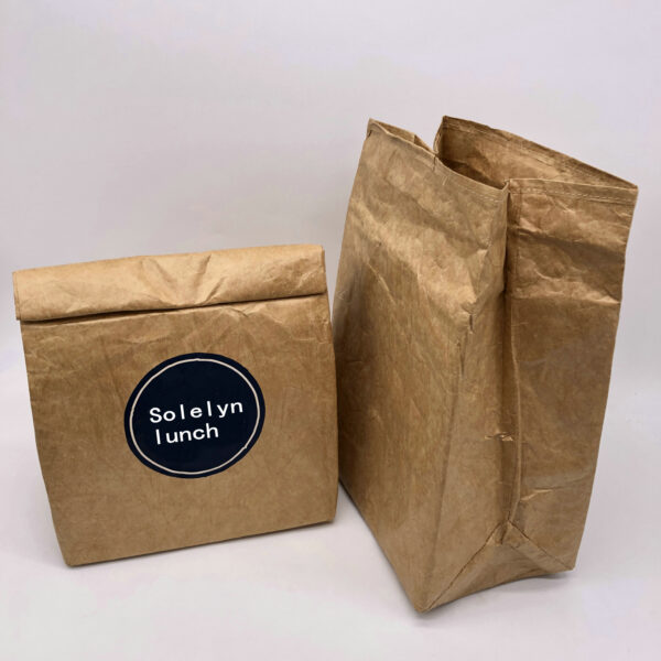 Reusable Brown Paper Lunch Bag Tyvek Lunch Sack