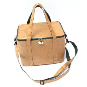 Waterproof Tyvek Paper Cooler Lunch Bag Food Container for Picnics Portable Picnic Box