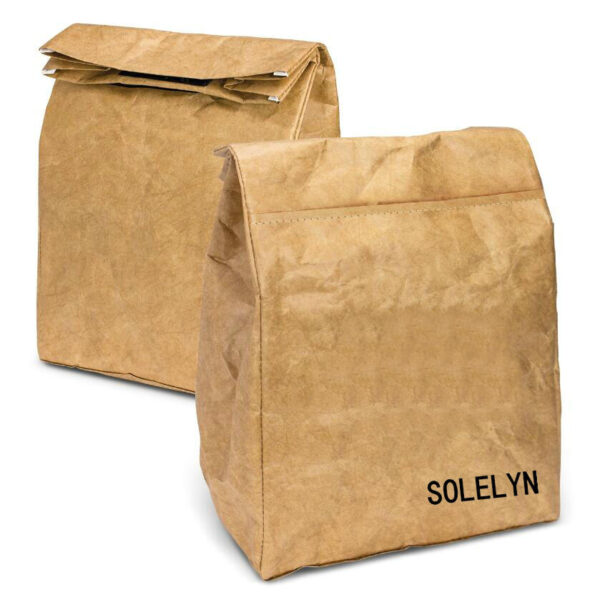 Insulated Thermal Cooler Sack Made of Durable Brown Tyvek Paper Convenient Cooler Bags