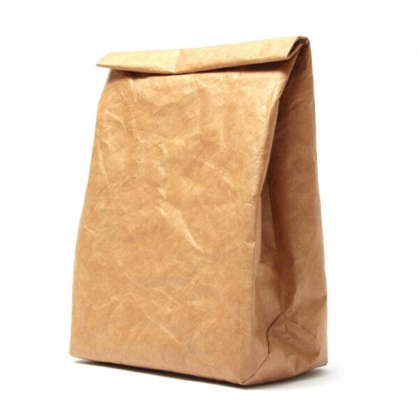 Insulated Thermal Cooler Sack Made of Durable Brown Tyvek Paper Convenient Cooler Bags - Image 3