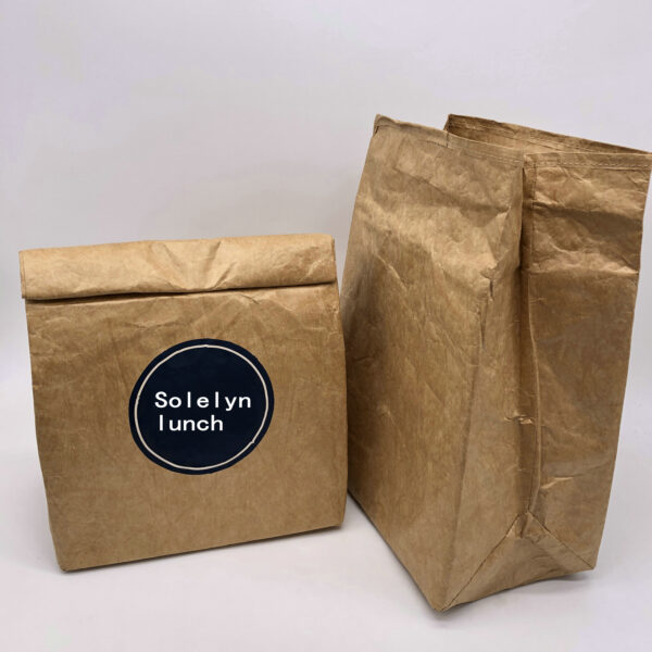 Insulated Thermal Cooler Sack Made of Durable Brown Tyvek Paper Convenient Cooler Bags - Image 6