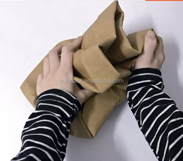 Recycled Brown Waterproof Portable Women's Tote Bag Hand-Washed Insulation Cooler for Picnic DuPont Kraft Paper Washable Feature - 画像 6