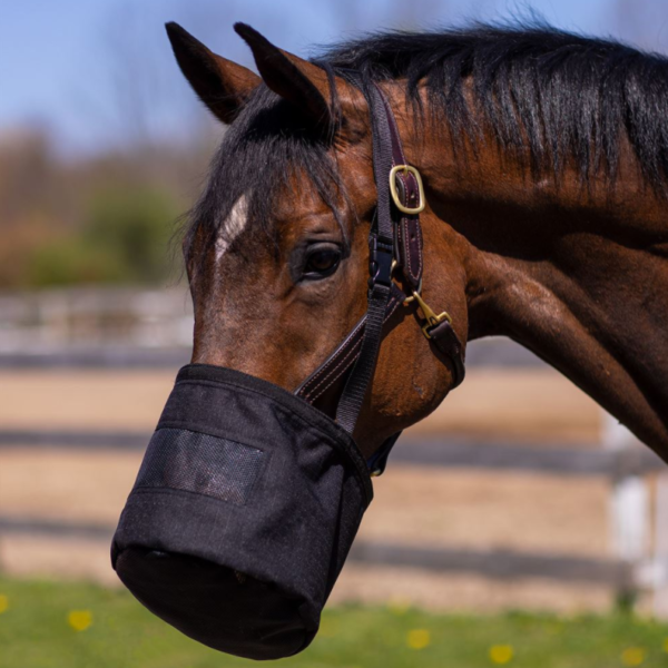 Heavy Duty Horse Feed Bag with Easy Breath Mesh Pet Bowls & Feeders - 画像 2