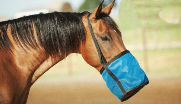 Heavy Duty Horse Feed Bag with Easy Breath Mesh Pet Bowls & Feeders - 画像 6