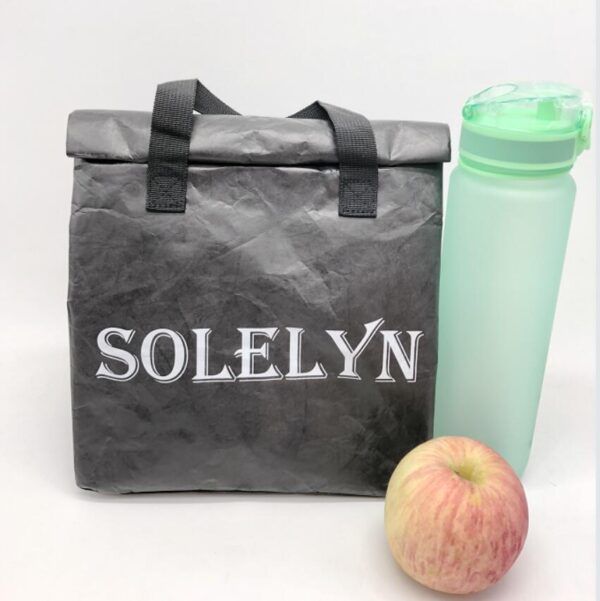 Large Insulated Tyvek Paper Lunch Bag Waterproof Adult Cooler Tote Bag