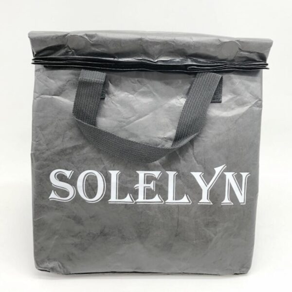 Large Insulated Tyvek Paper Lunch Bag Waterproof Adult Cooler Tote Bag - Image 3