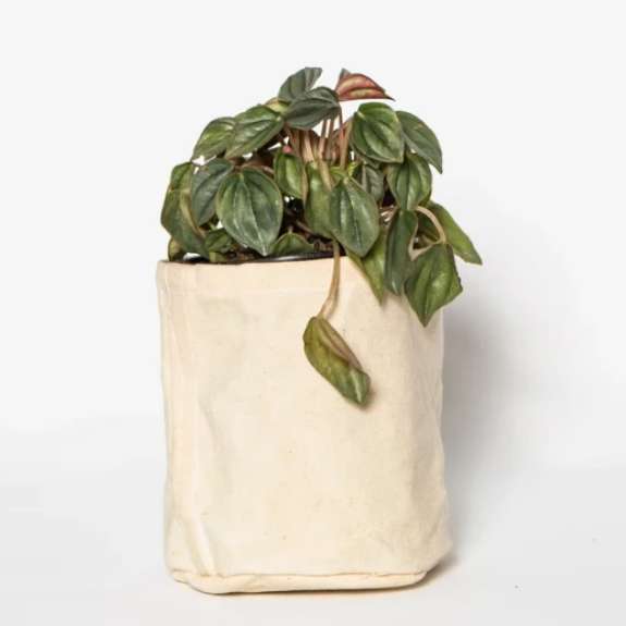 Recycled Waxed Cotton Canvas Pot Cover and Storage Organizer Special Purpose Bags & Fälle - Bild 4