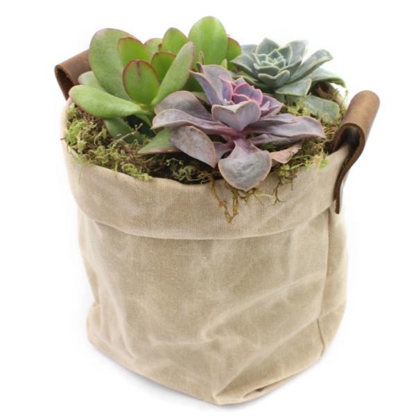 Recycled Waxed Cotton Canvas Pot Cover and Storage Organizer Special Purpose Bags & Fälle - Bild 5