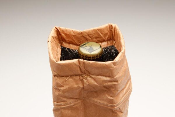 Lightweight Tyvek Paper Insulated Wine Tote Cooler Bag - 画像 6