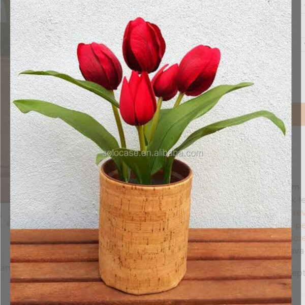 Rustic Style Planter Storage Organiser Basket Cork Leather Material Special Purpose Bags & Cases - Image 3