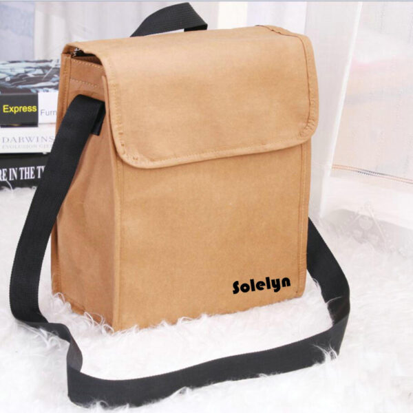 Eco-Friendly Tyvek Paper Lunch Organizer Eco-Friendly Cooler Bags Lunch Holder
