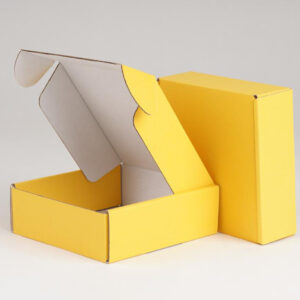 Custom Fashion Trend Gift Paper Package Mailer Box for Clothes Kraft Corrugated Packaging Box