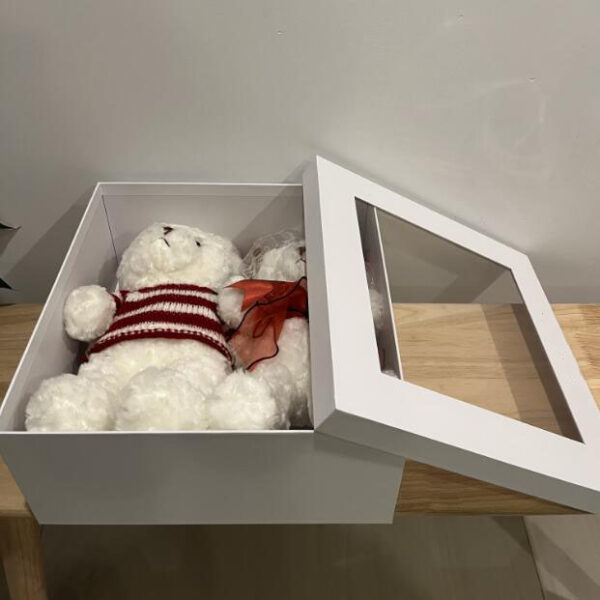Custom PVC Clear Top Window Magnetic Cardboard Box With Ribbon New Arrival Book Shaped Box for Gift - Image 6